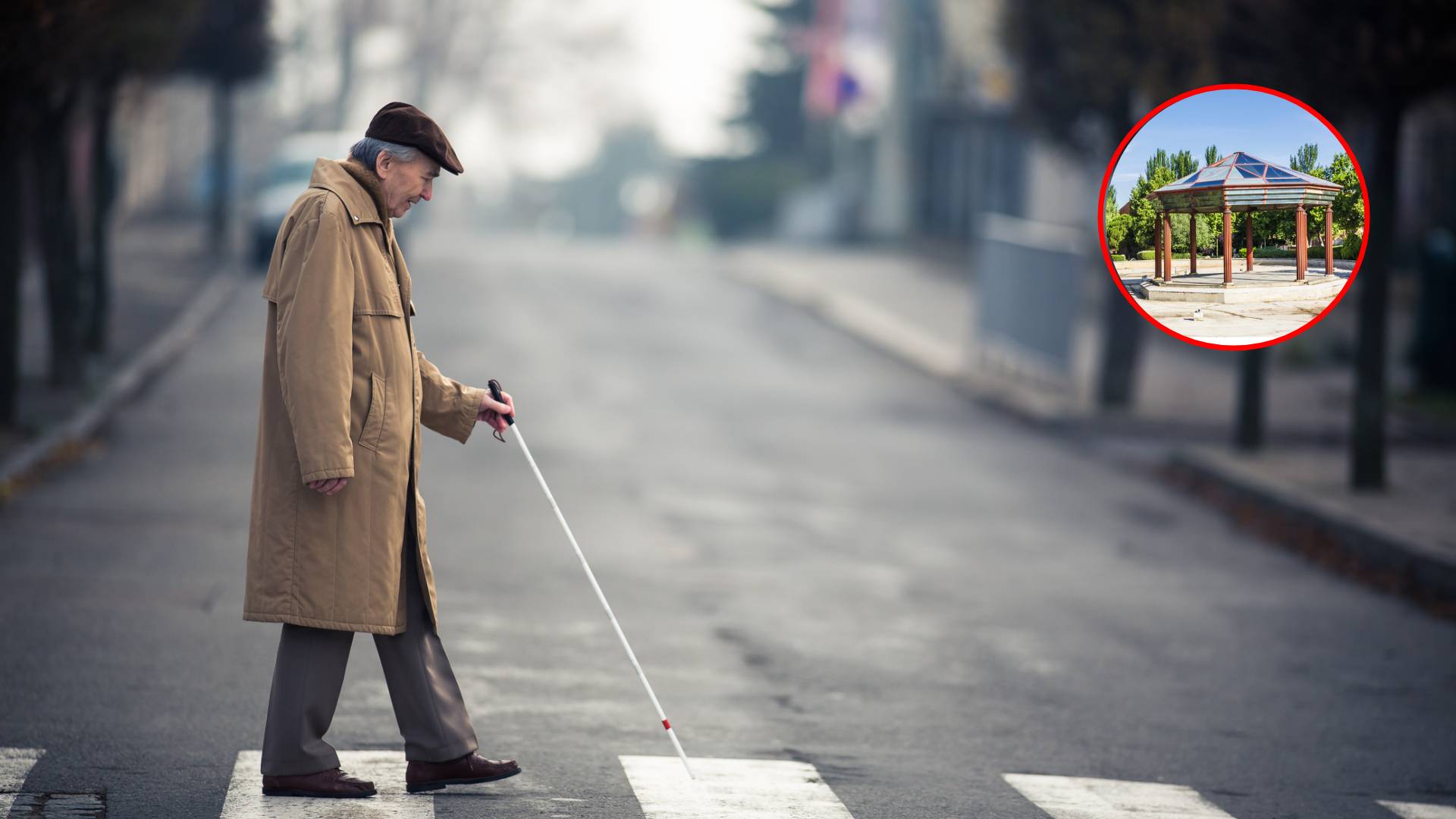 cuidades-comunidad-de-madrid-más-longevas-de-madrid