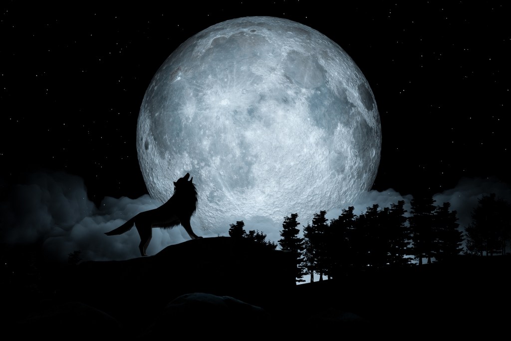 El secreto detrás de la Luna del Lobo 2025: ¿qué simboliza y por qué es tan especial la primera luna llena del año?
