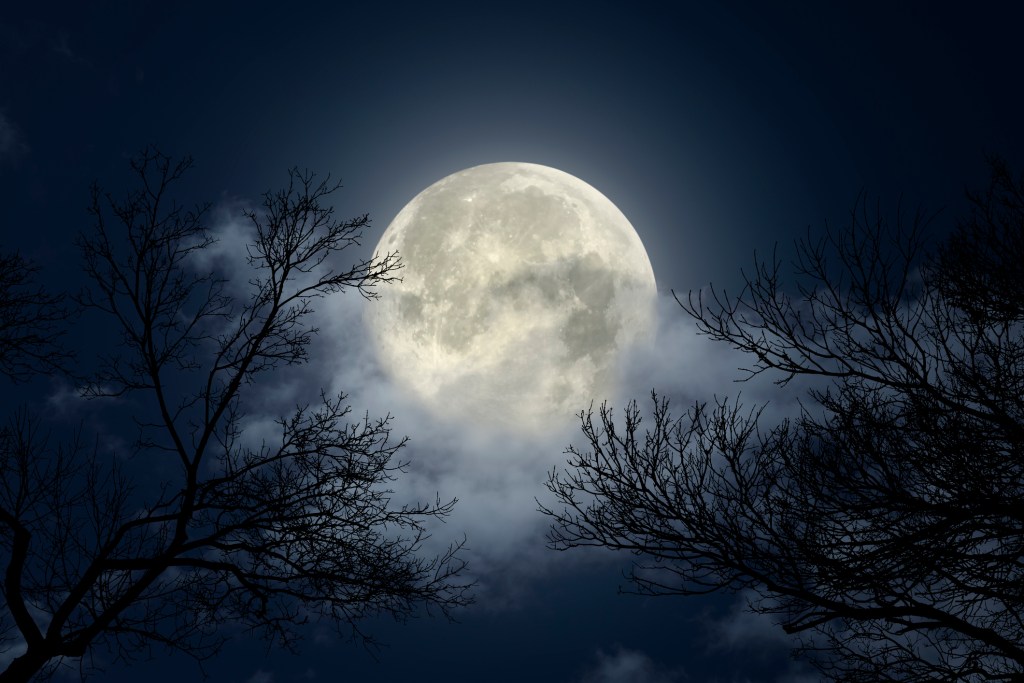 El secreto detrás de la Luna del Lobo 2025: ¿qué simboliza y por qué es tan especial la primera luna llena del año?