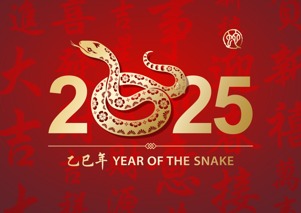 Madrid se viste de rojo para celebrar el Año Nuevo Chino 2025: descubre todos los eventos y actividades que marcan el inicio del Año de la Serpiente