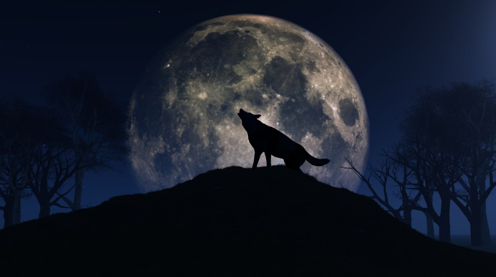 El secreto detrás de la Luna del Lobo 2025: ¿qué simboliza y por qué es tan especial la primera luna llena del año?
