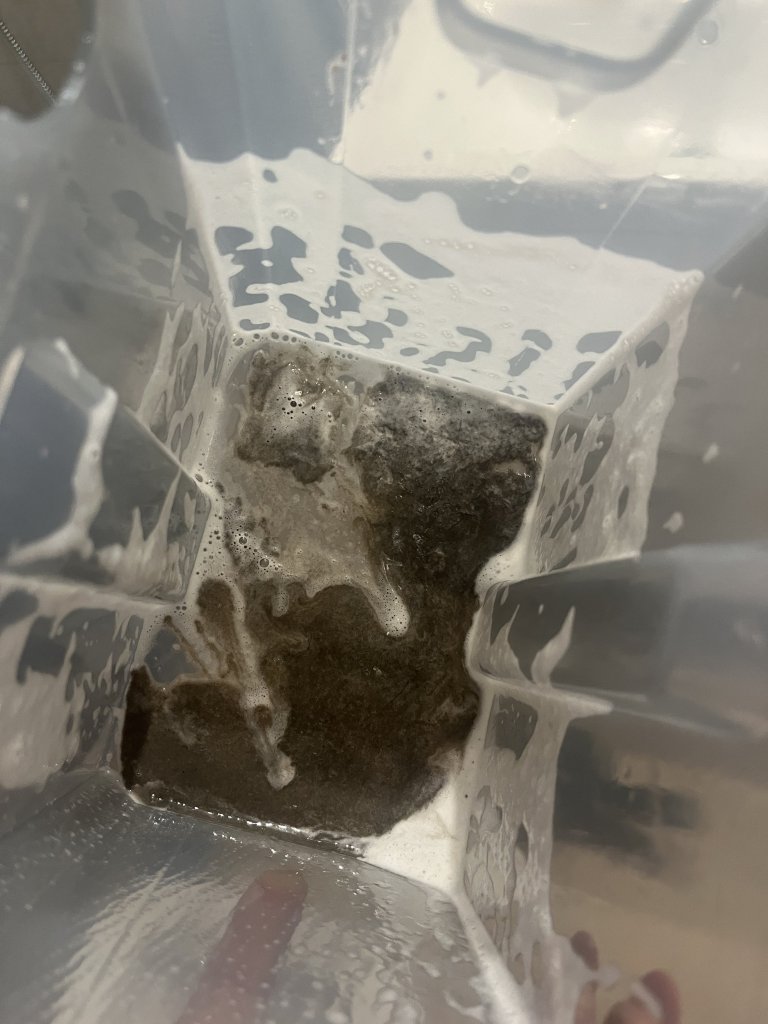 resultado lava aspiradora sofa karcher limpieza