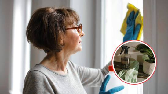 limpieza-producto-multiusos-ecologico