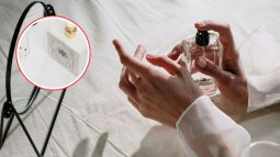 colonia-stradivarius-rebajas