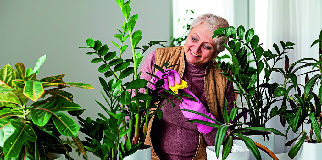 plantas-trucos-proteger-del-frio