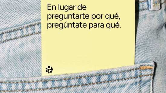 frases de mi psicologa que más me han ayudado