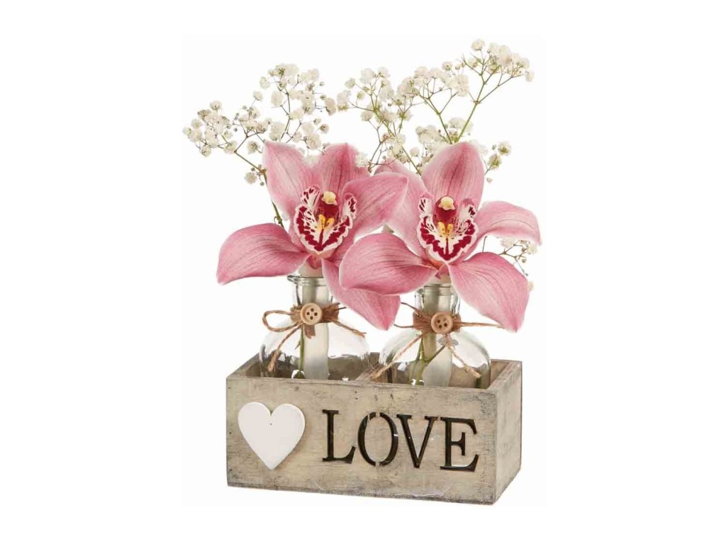 regalo-san-valenti-lidl-orquídeas