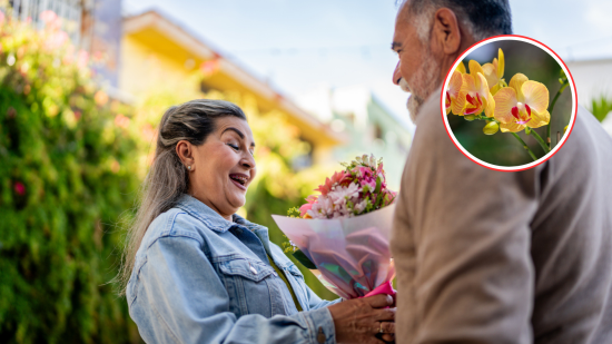 regalo-san-valentin-lidl-orquídeas