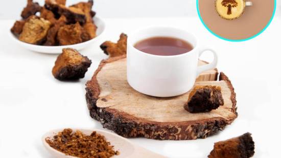 La fiebre del café con hongos: descubre si proporciona un beneficio real o solo es una estrategia de marketing