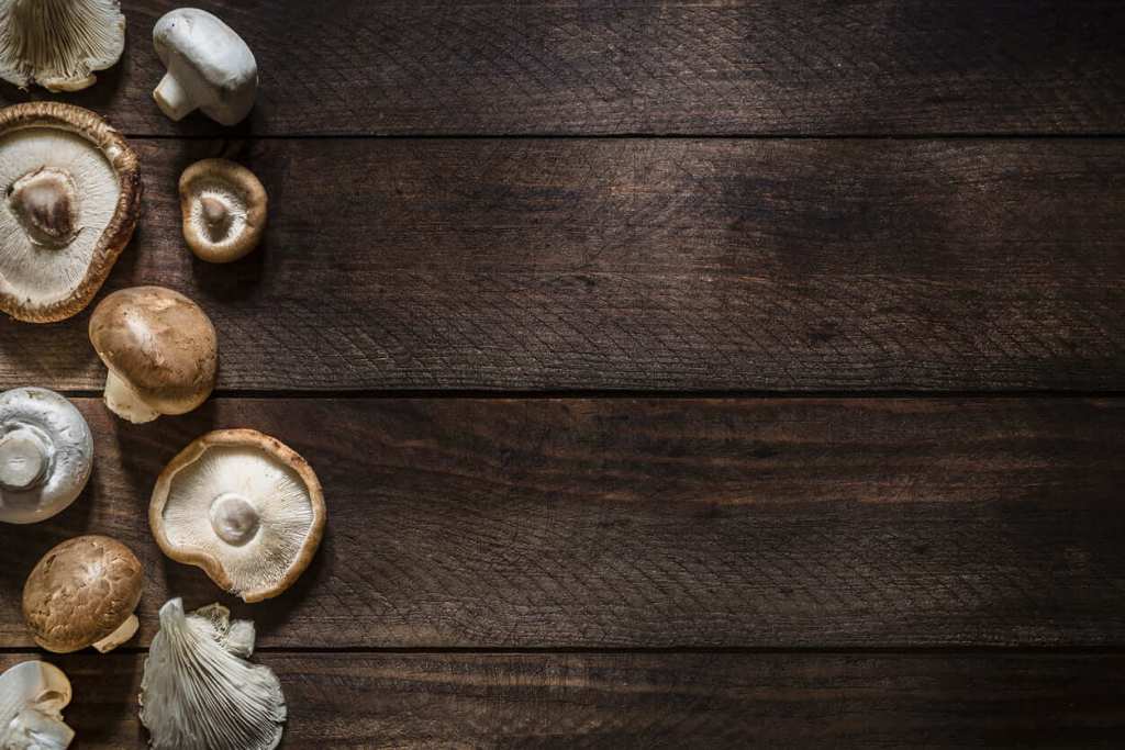 Te sorprenderá la relación de los hongos con el reciclaje y cómo puedes aprovechar sus beneficios para llevar una vida más sostenible - Fuente: iStock