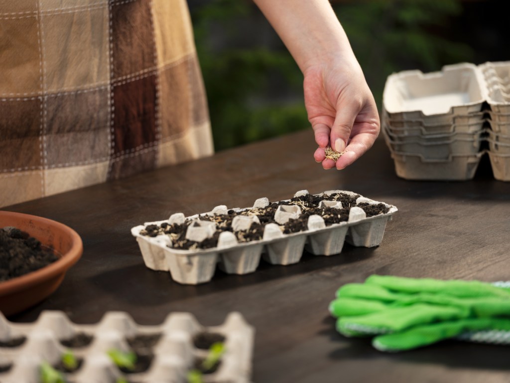 marie-kondo-caja-de-cereales