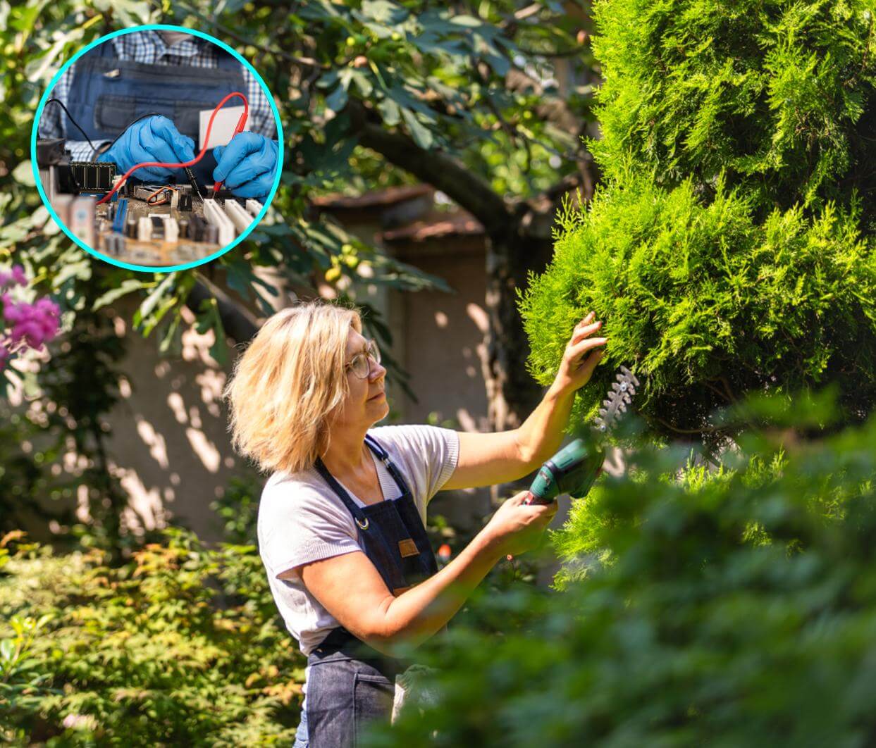 4 pasatiempos científicos para mujeres +50 que aman aprender y estimular su mente