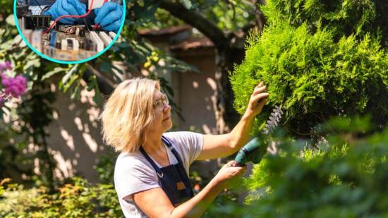 4 pasatiempos científicos para mujeres +50 que aman aprender y estimular su mente