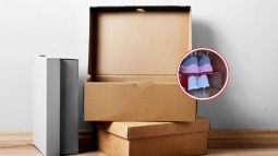 orden-zapatos-armario