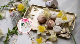 perfume-barato-experto