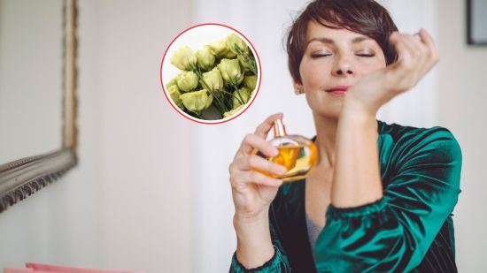 perfume-ligero-fresco