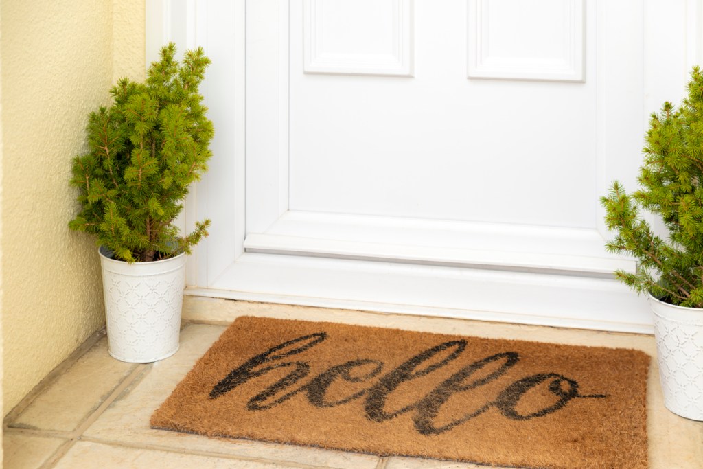 Felpudo con dos plantas a los lados - Imagen: iStock