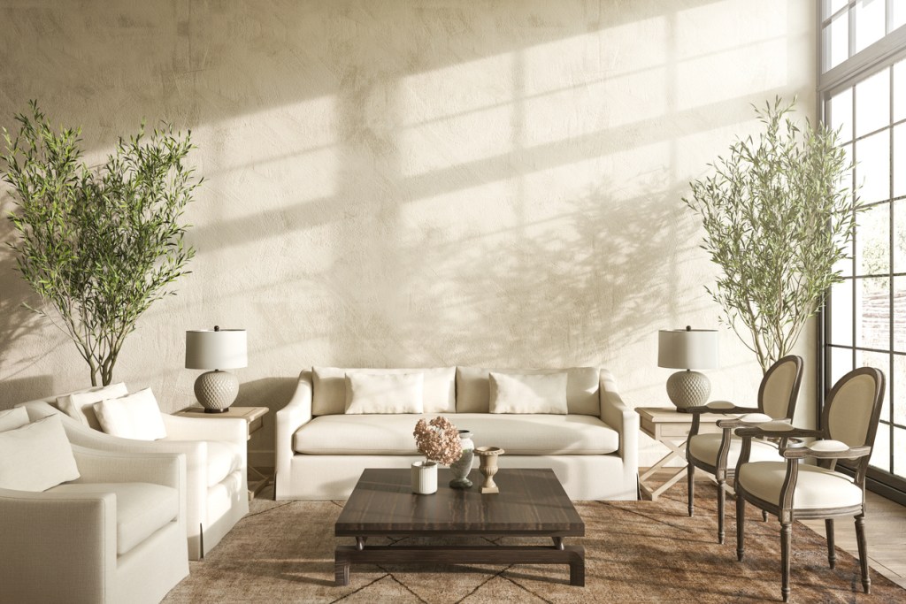 Salón en orden. Feng shui - Imagen: iStock