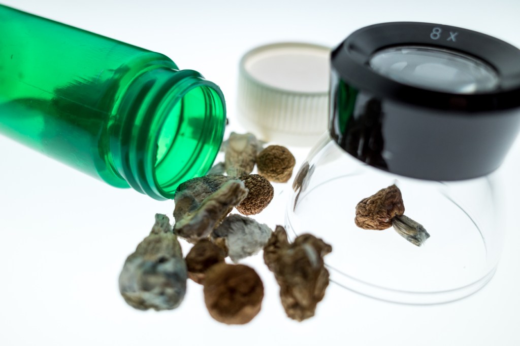 resina-almizcle-natural-perfume