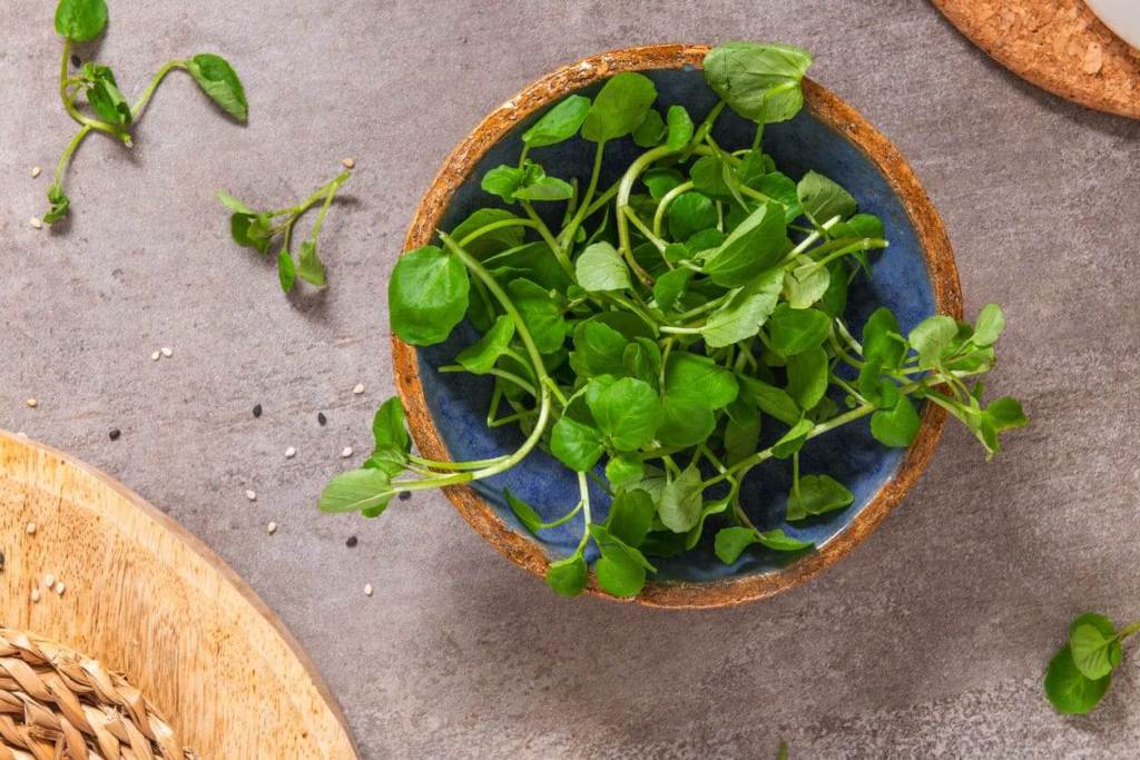 Cocina silvestre para principiantes: recetas sencillas con plantas comestibles - Fuente: iStock