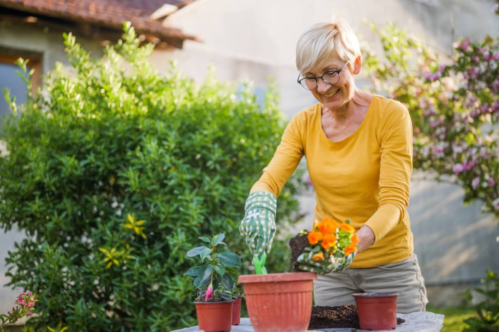 Las estaciones del año y su influencia en nuestra energía