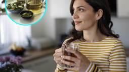 Conoce el poder curativo de la naturaleza a través de estas infusiones revitalizantes que puedes hacer fácilmente en casa