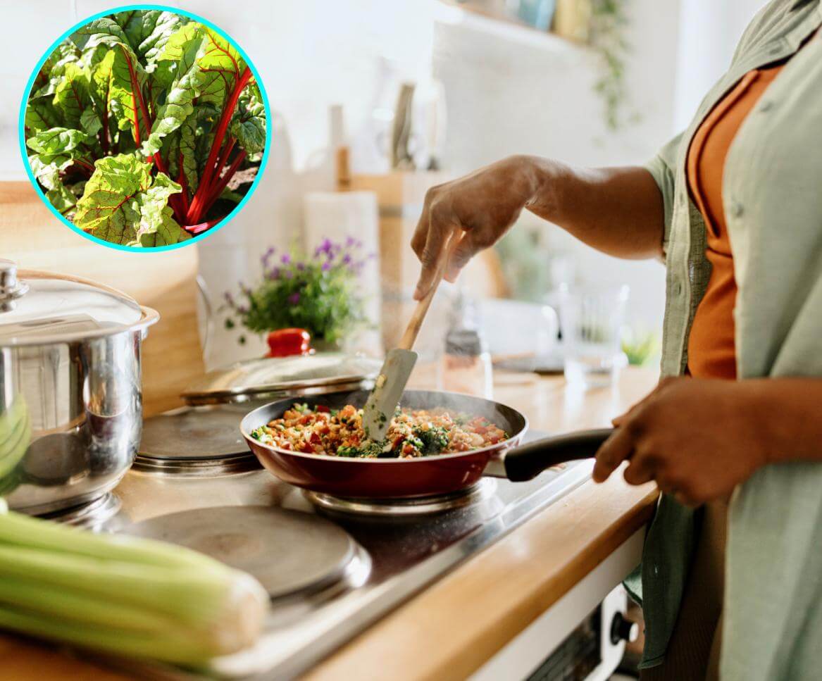 Cocina silvestre para principiantes: recetas sencillas con plantas comestibles