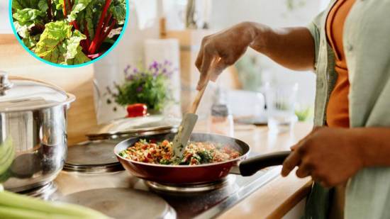 Cocina silvestre para principiantes: recetas sencillas con plantas comestibles