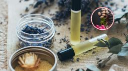 perfumes-comodin-tener-tocador