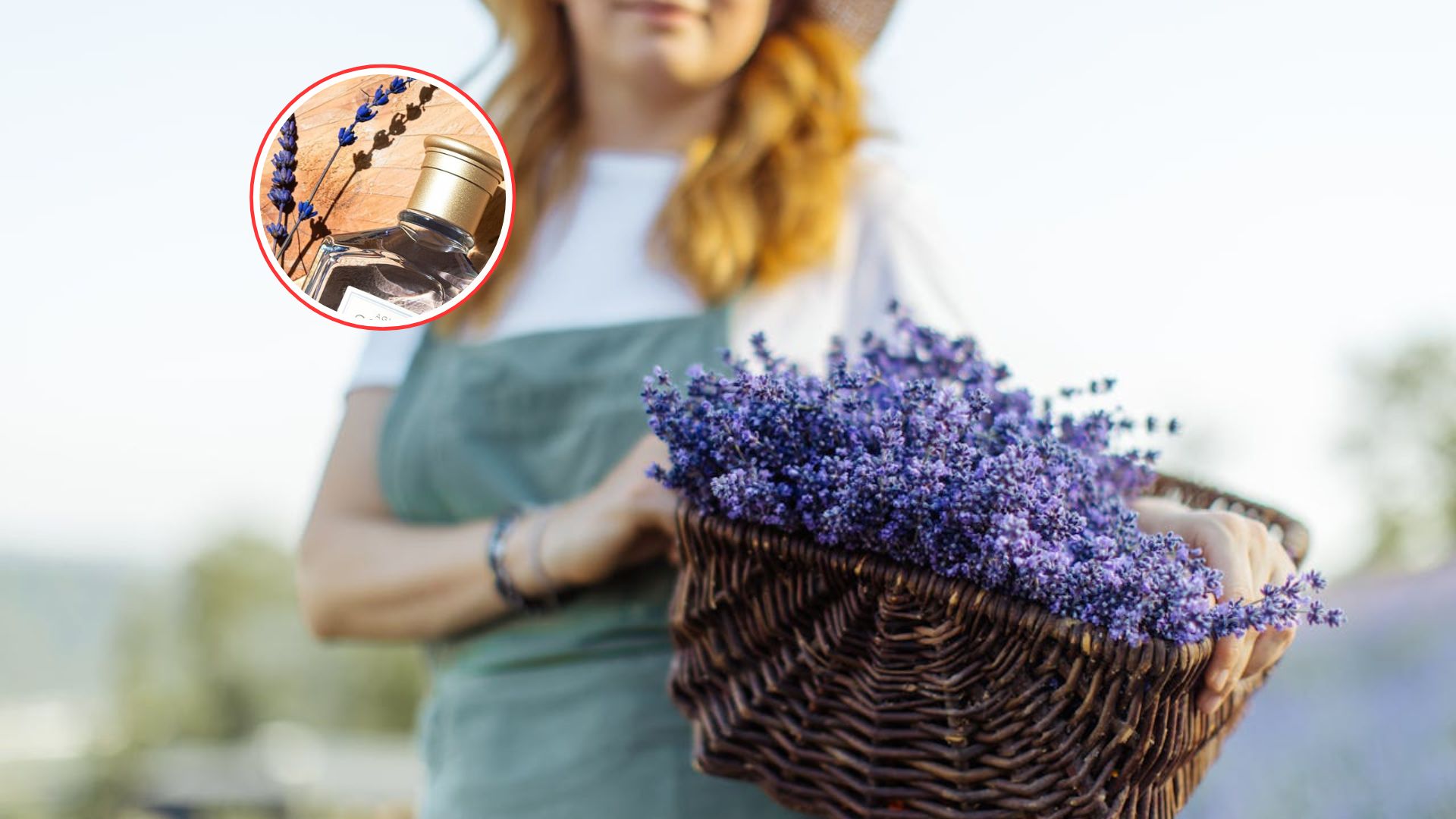 perfume-low.-cost-fresco-delicado-relajante