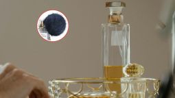 perfume-grosella-vainilla-alta-intensidad