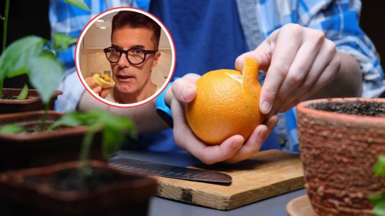 naranjas-beneficios-parte-blanca-manuel-viso