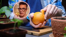 naranjas-beneficios-parte-blanca-manuel-viso