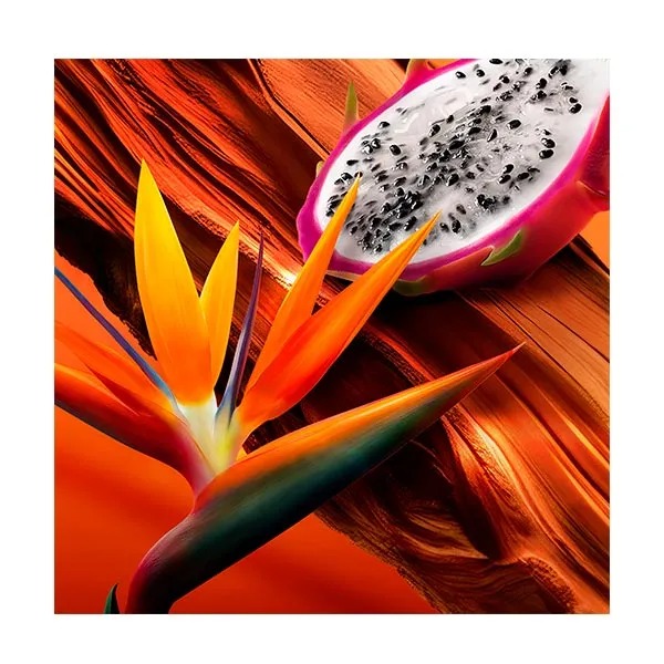 perfume-tropical-escada