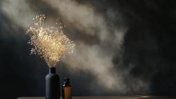 ambientadores-de-lujo