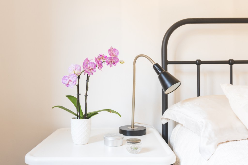 Orden a través del Feng Shui: orquídea en el dormitorio - Imagen: iStock