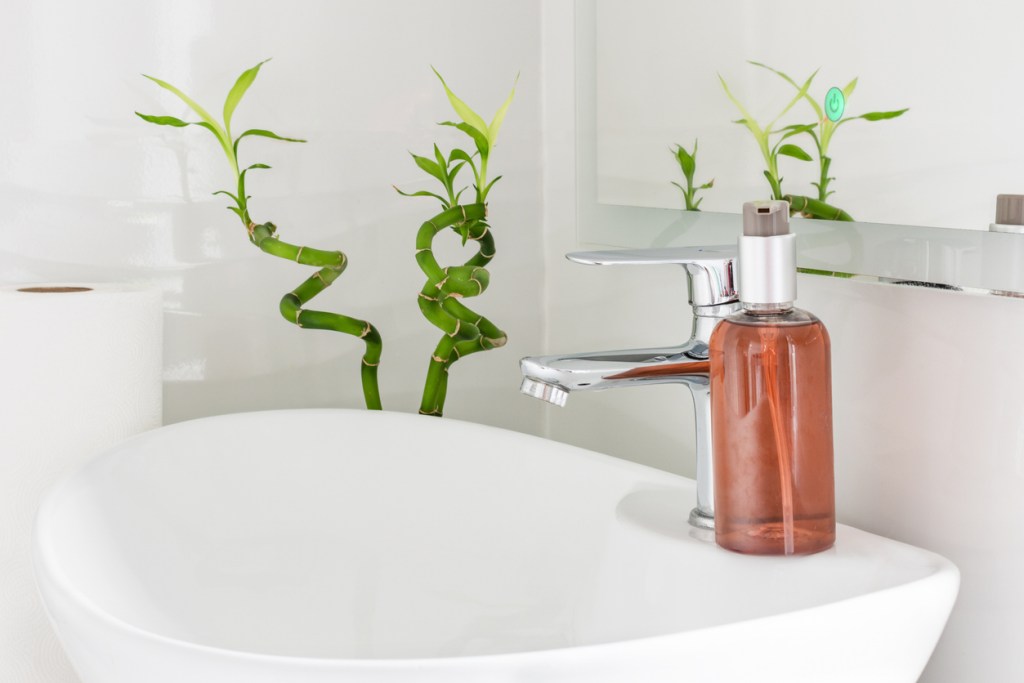 Orden a través del Feng Shui: bambú en el baño - Imagen: iStock