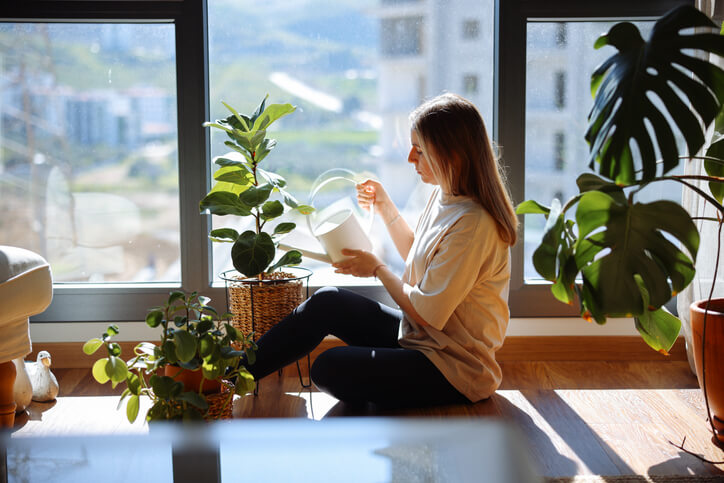 Confirmado por psicólogos: tener muchas plantas en casa revela una poderosa cualidad emocional