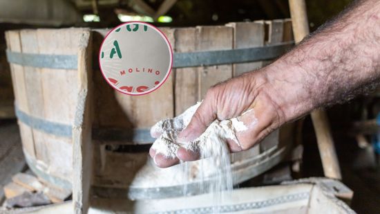 harina-futuro-alta-proteina-baja-carbohidratos