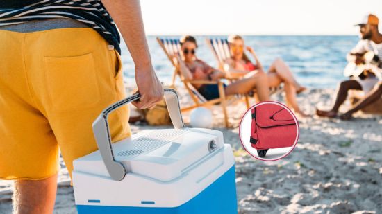 carrito-nevera-lidl-playa-orden