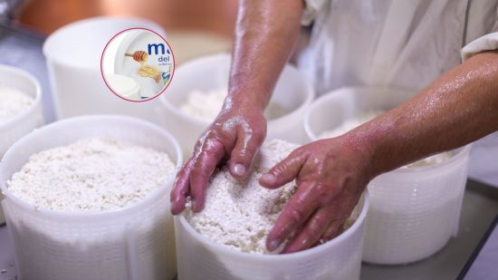 queso-mató-catalán