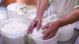 queso-mató-catalán