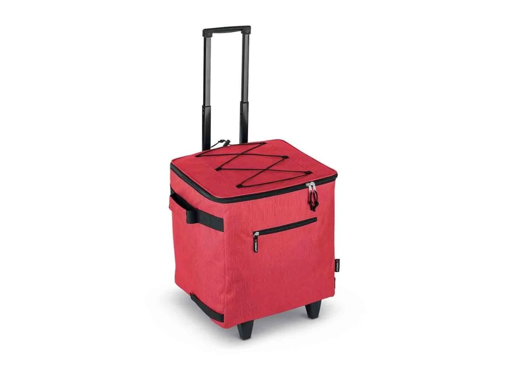 carrito-nevera-lidl-playa-orden