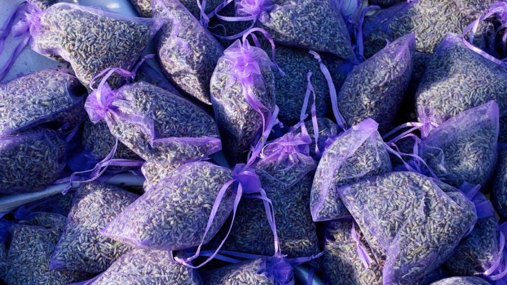 isabel-preysler-perfume-lavanda