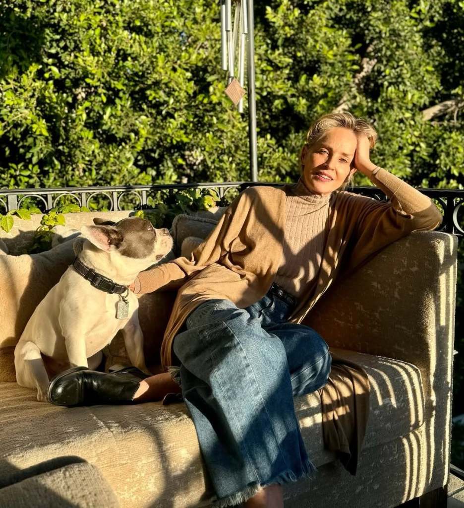 sharon-stone-infusiones-calientes