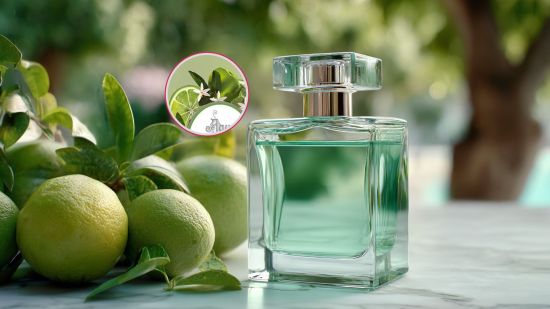 colonia-alvarez-gomez-bergamota-fresca-citrica-suave