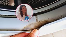 limpieza-goma-lavadora-sin-lejia