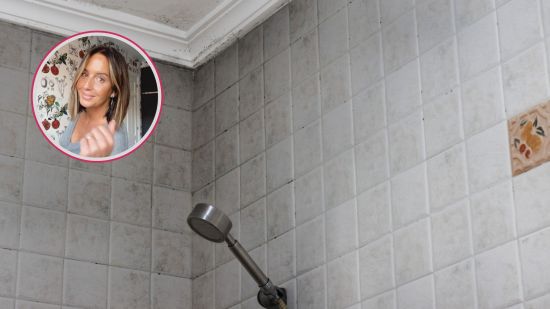 moho-baño-experta-eliminar-azulejos-juntas