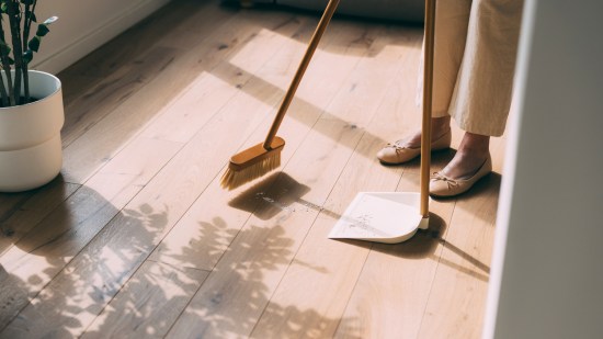 consejos-trampas-cucarachas-mercadona-expertos