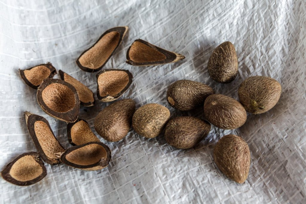 manteca-corporal-mercadona-murumuru